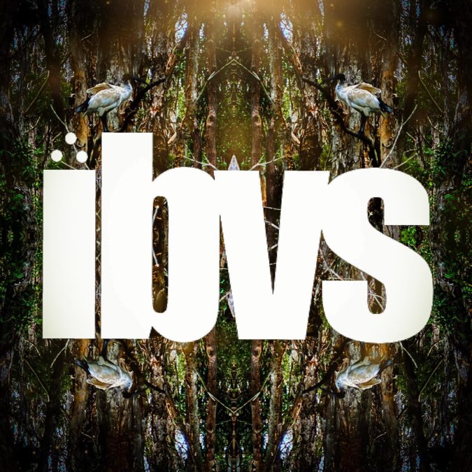 IBVS: ‘ibvs’
